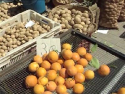 mercado (6)  CAMPO APEROS